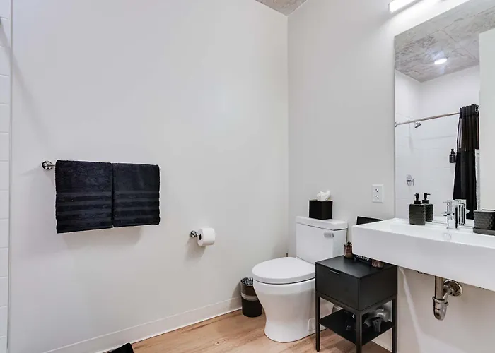 Apartment South Loop Rooftop With In And Out Parking 5 Chicago