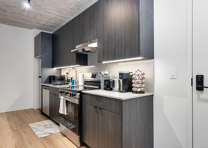 South Loop Rooftop With In And Out Parking 5 Apartamento *