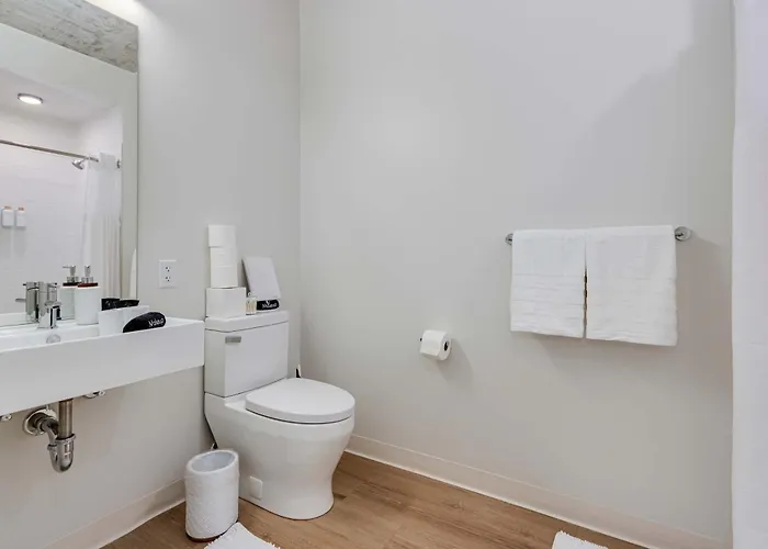 South Loop Rooftop With In And Out Parking 5 Apartment