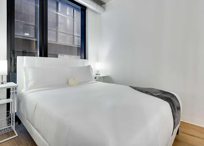 South Loop Rooftop With In And Out Parking 5 Apartment *