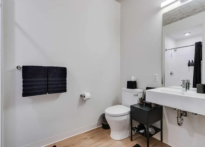 Apartamento South Loop Rooftop With In And Out Parking 5 *