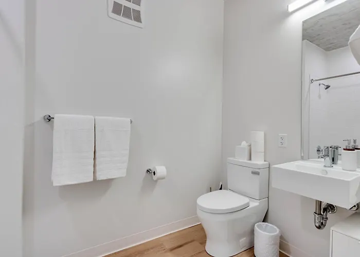 South Loop Rooftop With In And Out Parking 5 Apartment *