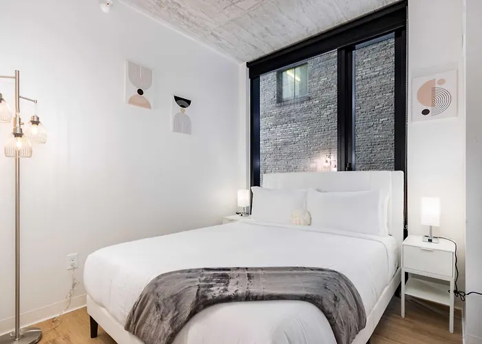 South Loop Rooftop With In And Out Parking 5 Apartment *