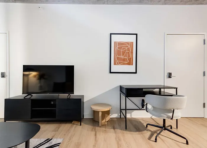South Loop Rooftop With In And Out Parking 5 Apartment *