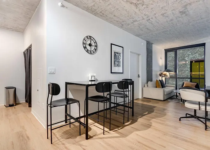Apartment South Loop Rooftop With In And Out Parking 5 Chicago