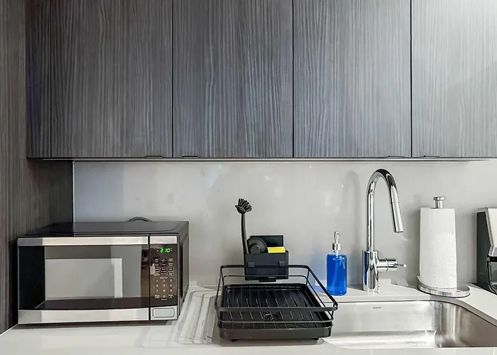 South Loop Rooftop With In And Out Parking 5 Apartamento *