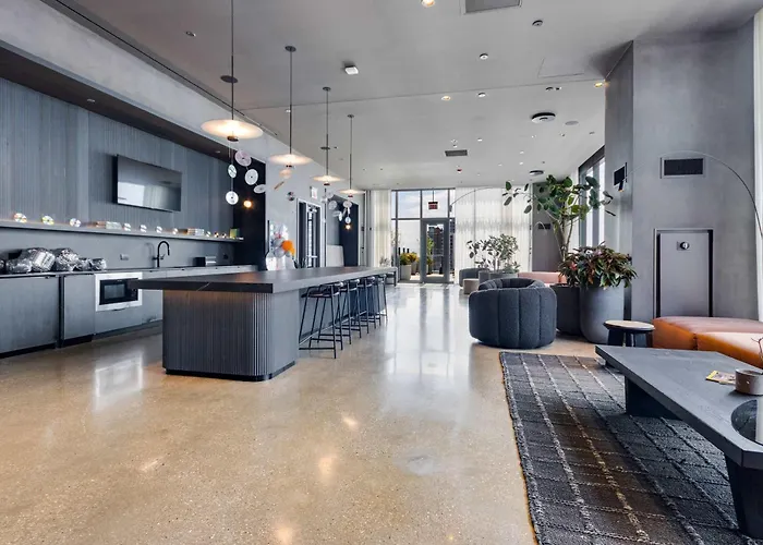 Apartamento South Loop Rooftop With In And Out Parking 5 *